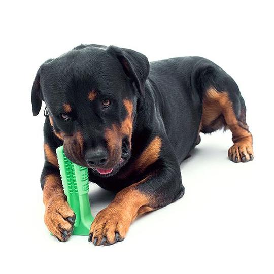 Effective Toothbrush For Dogs