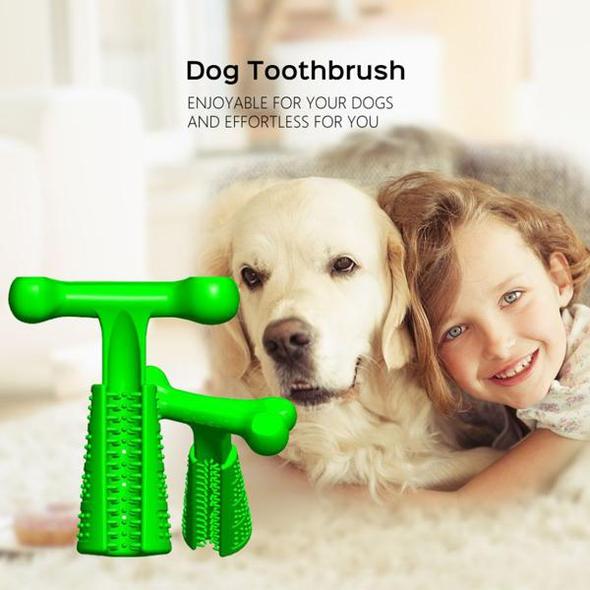 Effective Toothbrush For Dogs